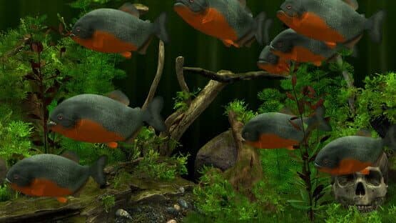 Behind Glass: Aquarium Simulator — screenshot 7