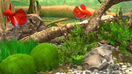 Behind Glass: Aquarium Simulator — screenshot 8