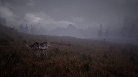 Wandering Wolf — screenshot 5