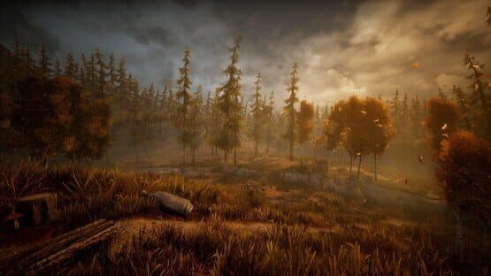 Wandering Wolf — screenshot 6
