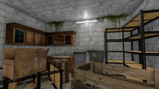 House Flipper: Apocalypse — screenshot 3