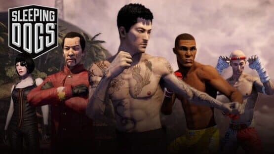 Sleeping Dogs: Zodiac Tournament — screenshot 1