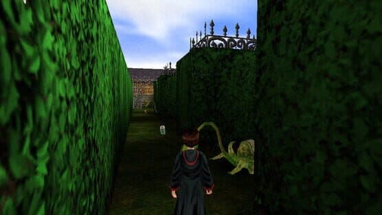 Harry Potter and the Sorcerer's Stone — screenshot 5