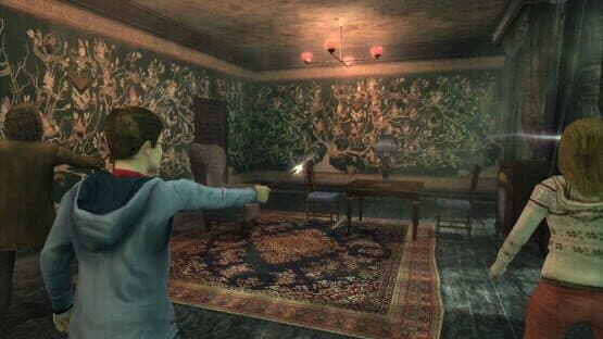 Harry Potter and the Order of the Phoenix — screenshot 3
