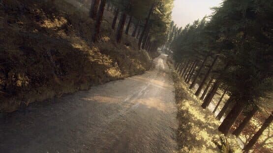 Dirt Rally 2.0: Colin McRae - Flat Out Pack — screenshot 3