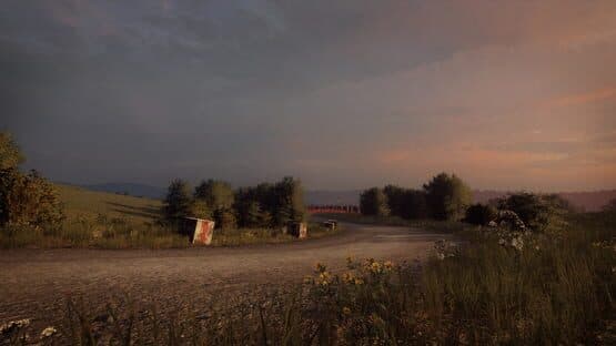 DiRT Rally 2.0: Germany (Rally Location) — screenshot 3