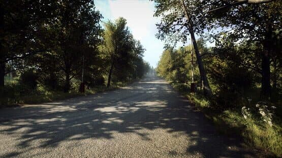 DiRT Rally 2.0: Germany (Rally Location) — screenshot 5