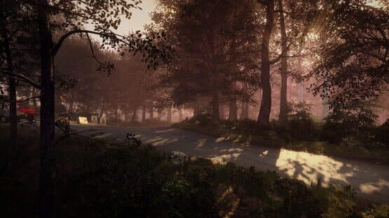 DiRT Rally 2.0: Germany (Rally Location) — screenshot 7