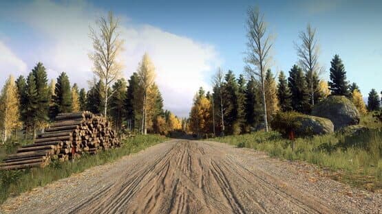 DiRT Rally 2.0: Finland (Rally Location) — screenshot 1