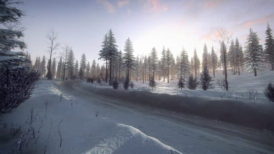 DiRT Rally 2.0: Sweden (Rally Location) — screenshot 1