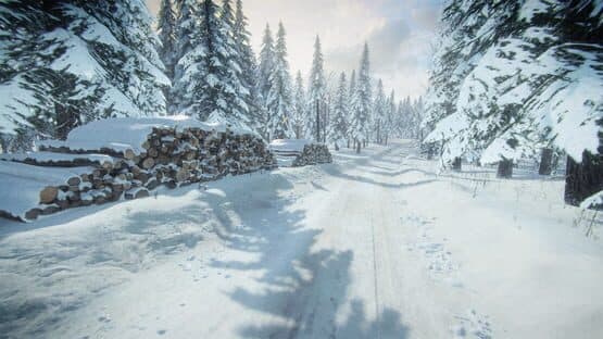 DiRT Rally 2.0: Sweden (Rally Location) — screenshot 2