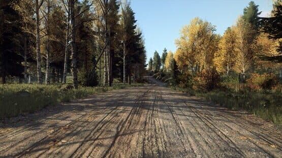 DiRT Rally 2.0: Finland (Rally Location) — screenshot 3