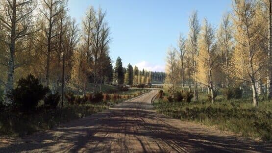 DiRT Rally 2.0: Finland (Rally Location) — screenshot 4