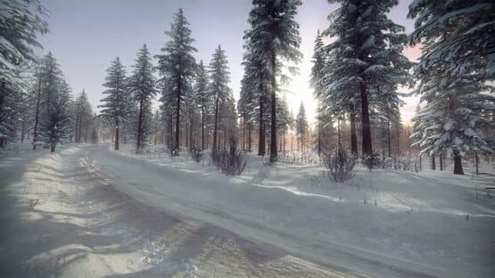 DiRT Rally 2.0: Sweden (Rally Location) — screenshot 4