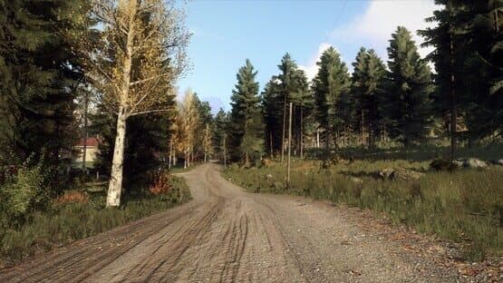 DiRT Rally 2.0: Finland (Rally Location) — screenshot 5