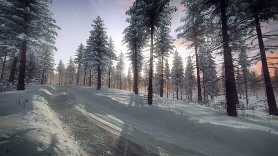 DiRT Rally 2.0: Sweden (Rally Location) — screenshot 5