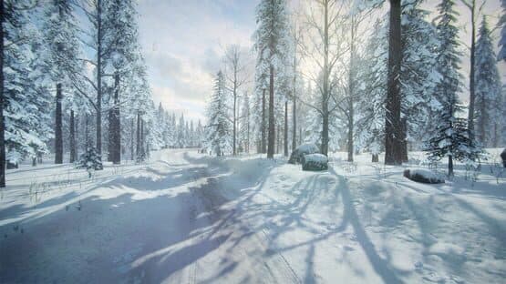 DiRT Rally 2.0: Sweden (Rally Location) — screenshot 6