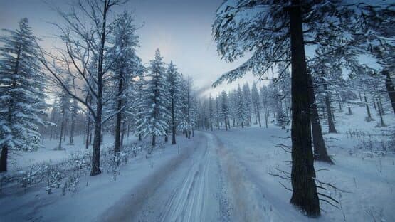 DiRT Rally 2.0: Sweden (Rally Location) — screenshot 7