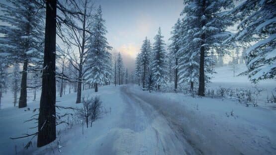 DiRT Rally 2.0: Sweden (Rally Location) — screenshot 8