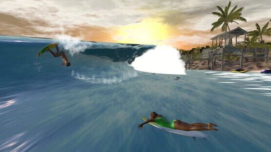 The Endless Summer: Search For Surf — screenshot 1