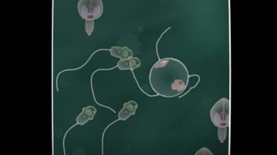 Coil — screenshot 2