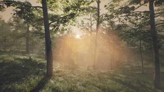 Mystery — screenshot 3