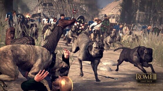 Total War: Rome II - Unit Pack: Beasts of War — screenshot 4