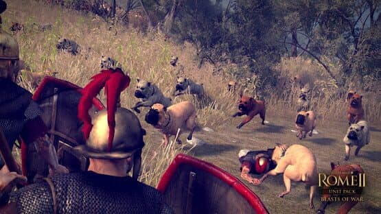 Total War: Rome II - Unit Pack: Beasts of War — screenshot 6