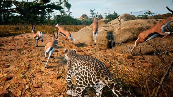 Animalia Survival — screenshot 2