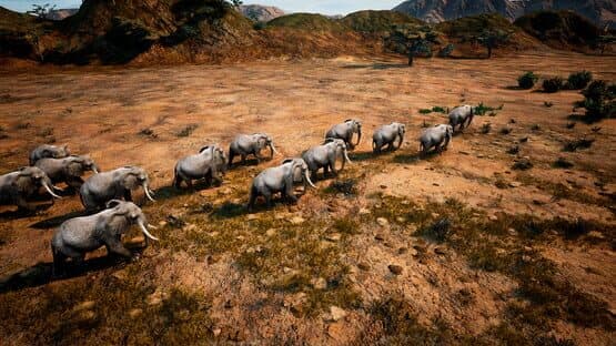 Animalia Survival — screenshot 4