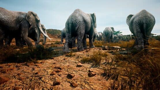 Animalia Survival — screenshot 5
