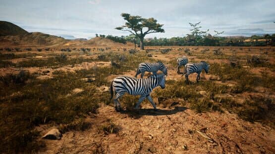 Animalia Survival — screenshot 6