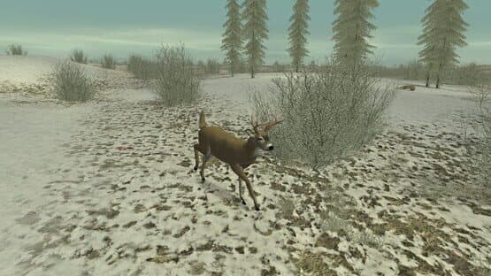 Hunting Unlimited 2 — screenshot 4