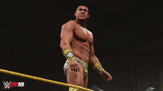 WWE 2K19: Titans Pack — screenshot 1