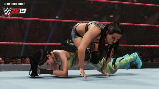 WWE 2K19: New Moves — screenshot 4