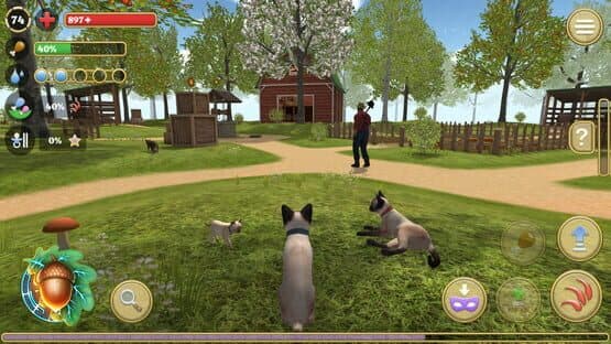 Cat Simulator: Animals on Farm — screenshot 1