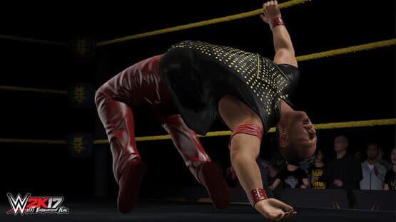 WWE 2K17: NXT Enhancement Pack — screenshot 2