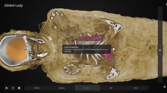 Inside Explorer: The Gilded Lady — screenshot 3