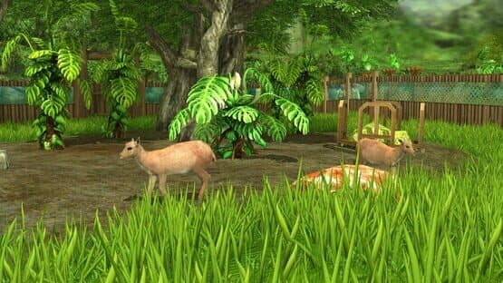 Wildlife Park 3: Amazonas — screenshot 1