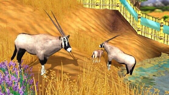 Wildlife Park 3: Africa — screenshot 3