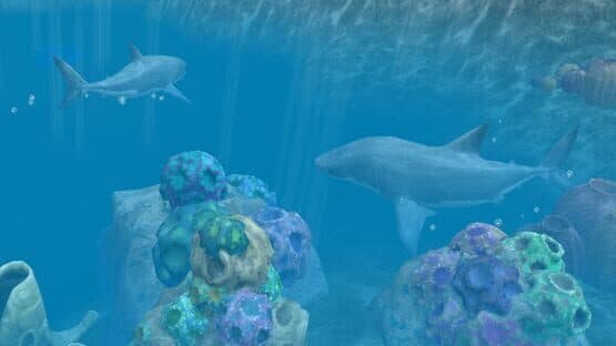 Wildlife Park 3: Down Under — screenshot 3
