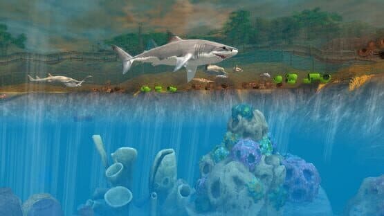 Wildlife Park 3: Down Under — screenshot 4