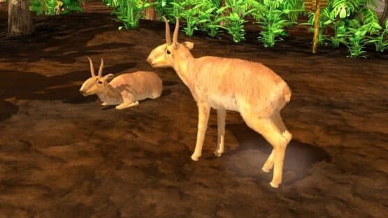 Wildlife Park 3: Asia — screenshot 4