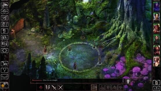 Baldur's Gate: Enhanced Edition - Deluxe Edition — screenshot 2