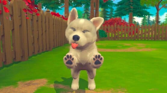My Universe: Puppies and Kittens — screenshot 1