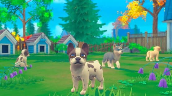 My Universe: Puppies and Kittens — screenshot 2