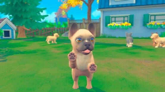 My Universe: Puppies and Kittens — screenshot 3