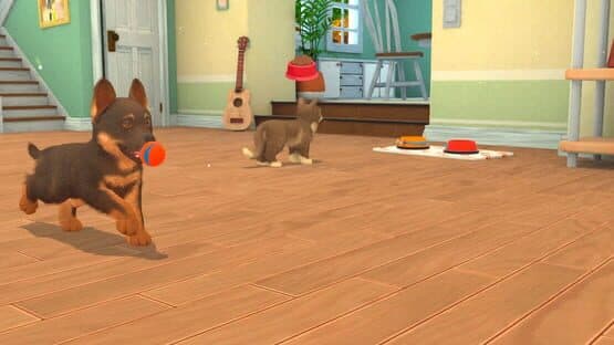 My Universe: Puppies and Kittens — screenshot 6