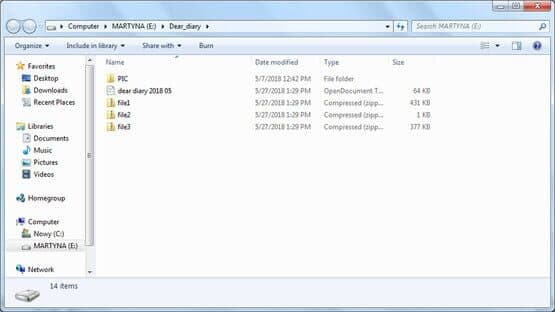 The USB Stick Found in the Grass — screenshot 4