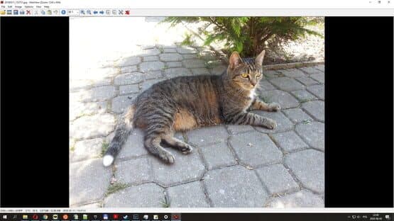 The USB Stick Found in the Grass — screenshot 6